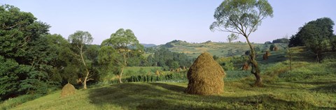 Framed Haystack at the hillside, Transylvania, Romania Print