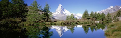 Framed Reflection of trees and mountain in a lake, Matterhorn, Switzerland Print