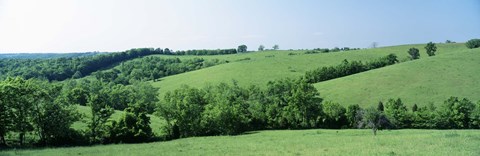 Framed Horse Farm, Kentucky, USA Print