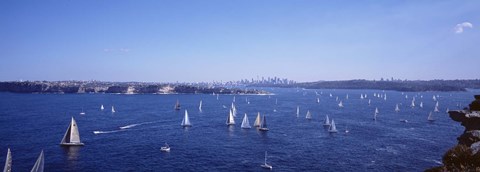 Framed Yachts in the bay, Sydney Harbor, Sydney, New South Wales, Australia Print