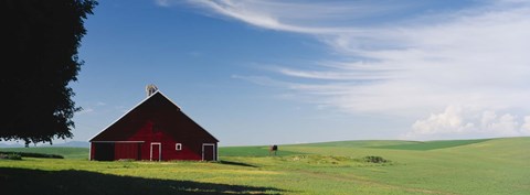 Framed Barn in a wheat field, Washington State (horizontal) Print