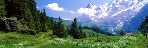 Framed Alpine Scene Near Murren Switzerland Print