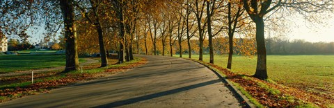 Framed Road at Chateau Chambord France Print