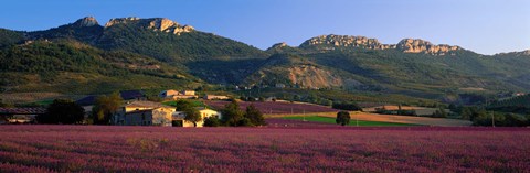 Framed Lavender Fields And Farms, High Provence, La Drome, France Print