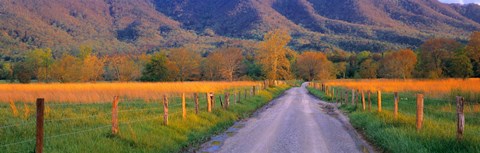 Framed Road At Sundown, Cades Cove, Great Smoky Mountains National Park, Tennessee, USA Print