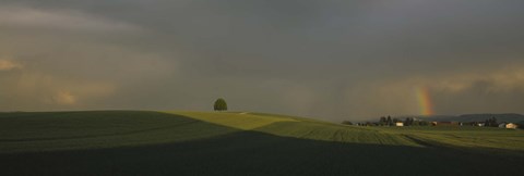 Framed Storm clouds over a field, Canton Of Zurich, Switzerland Print