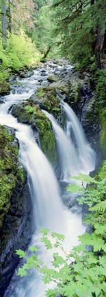 Framed Sol Duc Falls Olympic National Park WA Print