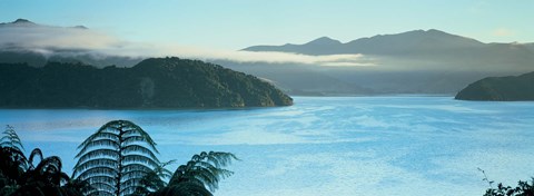 Framed Kenepuru, Marlborough Sound, New Zealand Print
