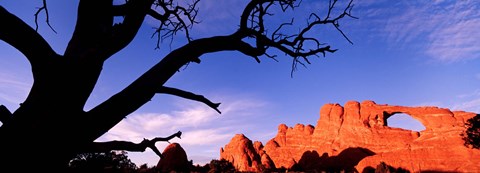 Framed Skyline Arch, Arches National Park, Utah, USA Print