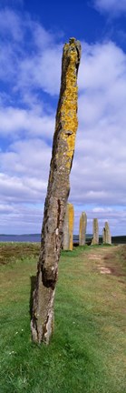 Framed Narrow pillar in the Ring Of Brodgar, Orkney Islands, Scotland, United Kingdom Print