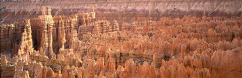 Framed Aerial View Of The Grand Canyon, Bryce Canyon National Park, Utah, USA Print