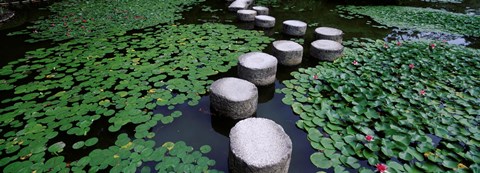 Framed Water Lilies In A Pond, Helan Shrine, Kyoto, Japan Print