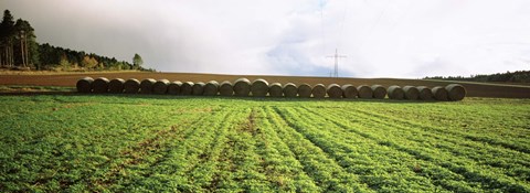 Framed Hay bales in a farm land, Germany Print