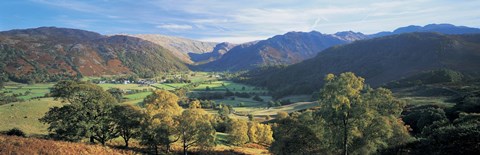 Framed High angle view of trees on the mountainside, Borrowdale, Lake District, England Print
