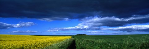 Framed Clouds Over A Cultivated Field, Hunmanby, Yorkshire Wolds, England, United Kingdom Print