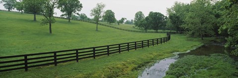 Framed Fence in a field, Woodford County, Kentucky, USA Print