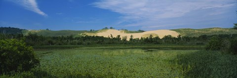 Framed Panoramic view of a lake, Sleeping Bear Dunes National Lakeshore, Michigan, USA Print