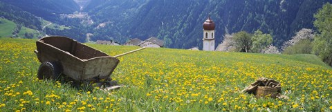 Framed Wheelbarrow in a field, Austria Print