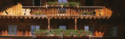 Framed Close-up of potted plants on balcony railings, Tirol, Austria Print