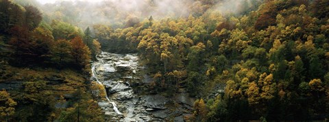 Framed High angle view of trees in a forest, Simplon Pass, Switzerland Print