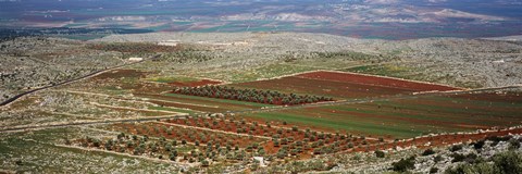 Framed Panoramic view of a landscape, Aleppo, Syria Print