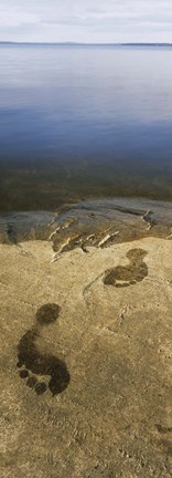 Framed High angle view of wet footprints on a rock, Lake Pielinen, Lieksa, Finland Print