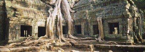 Framed Close up of Old ruins of a building, Angkor Wat, Cambodia Print