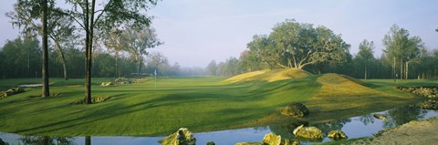 Framed Stream on a golf course, Haile Plantation, Gainesville, Florida, USA Print