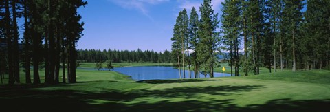 Framed Trees on a golf course, Edgewood Tahoe Golf Course, Stateline, Nevada, USA Print