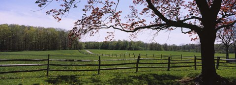 Framed Wooden fence in a farm, Knox Farm State Park, East Aurora, New York State, USA Print