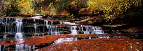 Framed Waterfall in a forest, North Creek, Zion National Park, Utah, USA Print