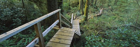 Framed Wooden Path in Pacific Rim National Park Print