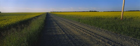 Framed Country Road in Millet, Canada Print