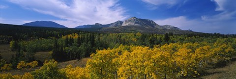 Framed Valley of Trees in Wateron Lakes Print