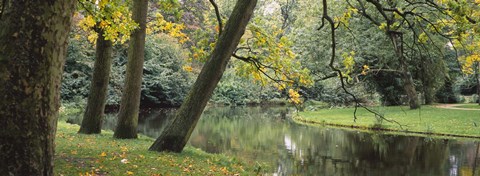 Framed Trees near a pond in a park, Vondelpark, Amsterdam, Netherlands Print