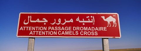 Framed Low angle view of a camel crossing signboard, Douz, Tunisia Print