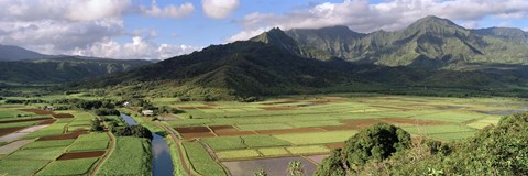 Framed High angle view of a field with mountains in the background, Hanalei Valley, Kauai, Hawaii, USA Print