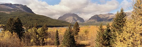 Framed Trees in a field, US Glacier National Park, Montana, USA Print