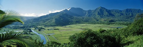 Framed High angle view of taro fields, Hanalei Valley, Kauai, Hawaii, USA Print