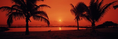 Framed Silhouette of palm trees on the beach at dusk, Lydgate Park, Kauai, Hawaii, USA Print