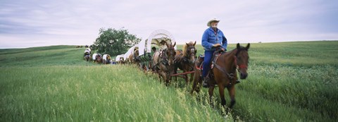 Framed Historical reenactment of covered wagons in a field, North Dakota, USA Print