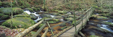 Framed Leap of Faith broken bridge, Becky Brook, Becky Falls, Bovey Tracey, Dartmoor National Park, Devon, England Print