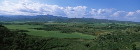 Framed High angle view of sugar cane fields, Cienfuegos, Cienfuegos Province, Cuba Print