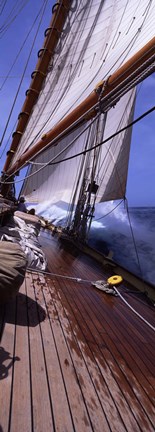 Framed Sailboat in the sea, Antigua (vertical) Print