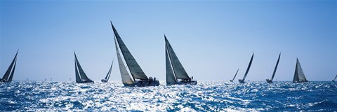 Framed Sailboats racing in the sea, Farr 40&#39;s race during Key West Race Week, Key West Florida, 2000 Print