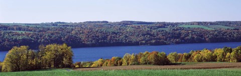 Framed Trees at the lakeside, Owasco Lake, Finger Lakes, New York State, USA Print