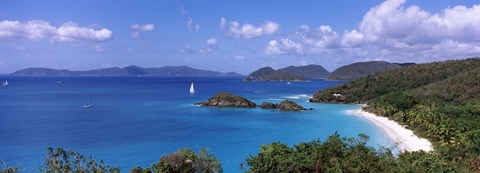 Framed Trees on the coast, Trunk Bay, Virgin Islands National Park, St. John, US Virgin Islands Print