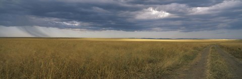 Framed Dirt road passing through a meadow, Masai Mara National Reserve, Great Rift Valley, Kenya Print