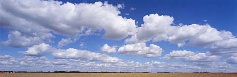 Framed Clouds over a field near Edmonton, Alberta, Canada Print