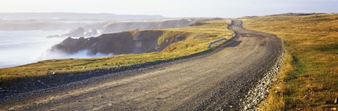Framed Dirt road passing through a landscape, Cape Bonavista, Newfoundland, Newfoundland and Labrador, Canada Print